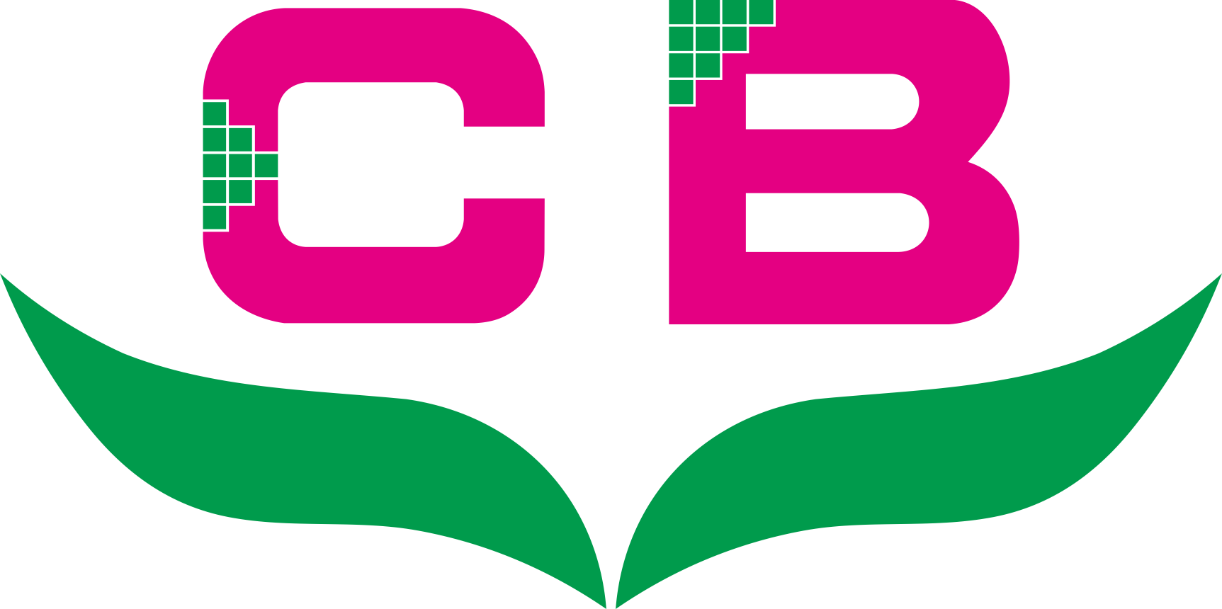 logo Choebe Group