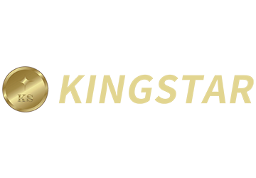 logo SHENZHEN KINGSTAR BAGS AND CASES CO., LTD