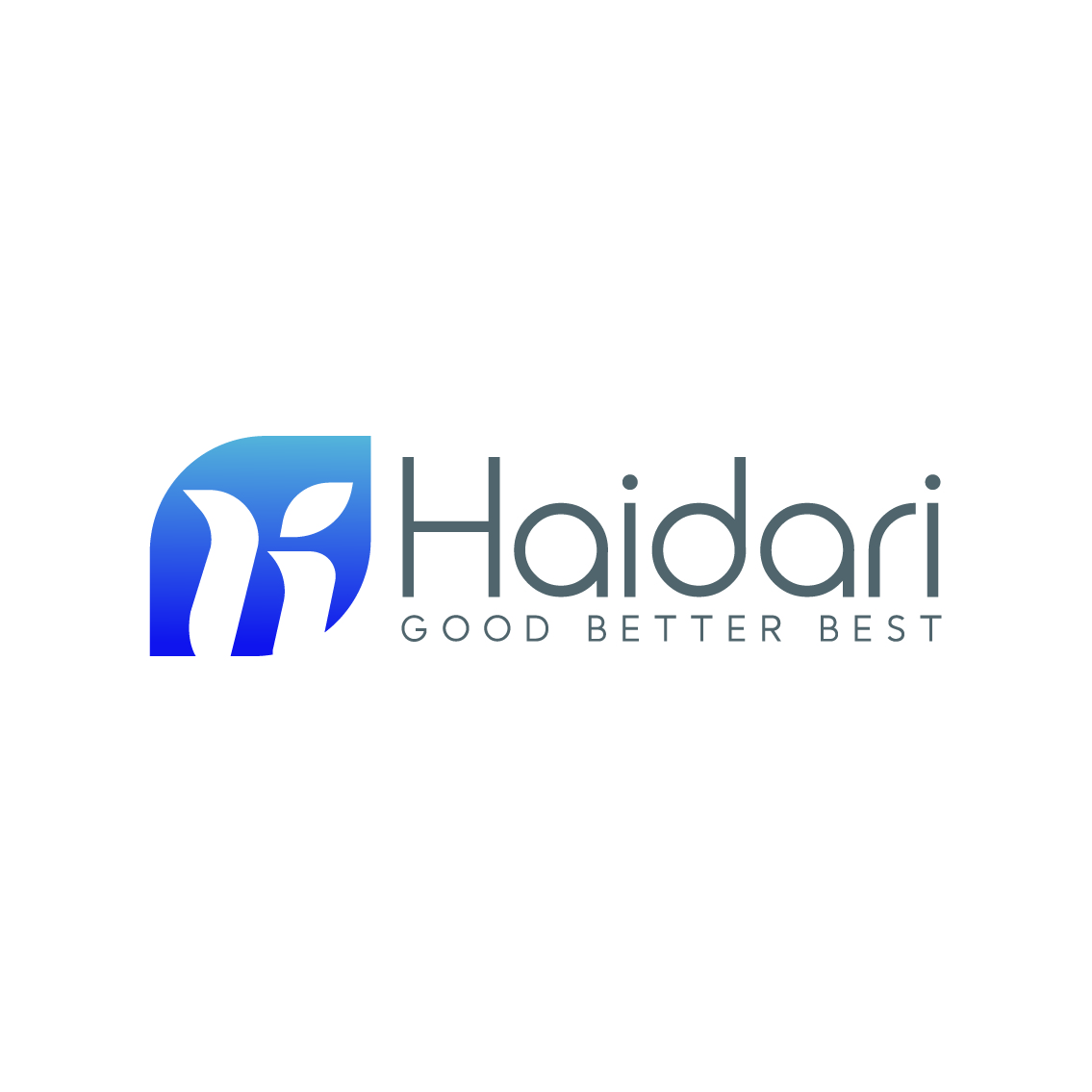 logo HAIDARI BEAUTY TECHNOLOGY (BEIJING) CO., LTD