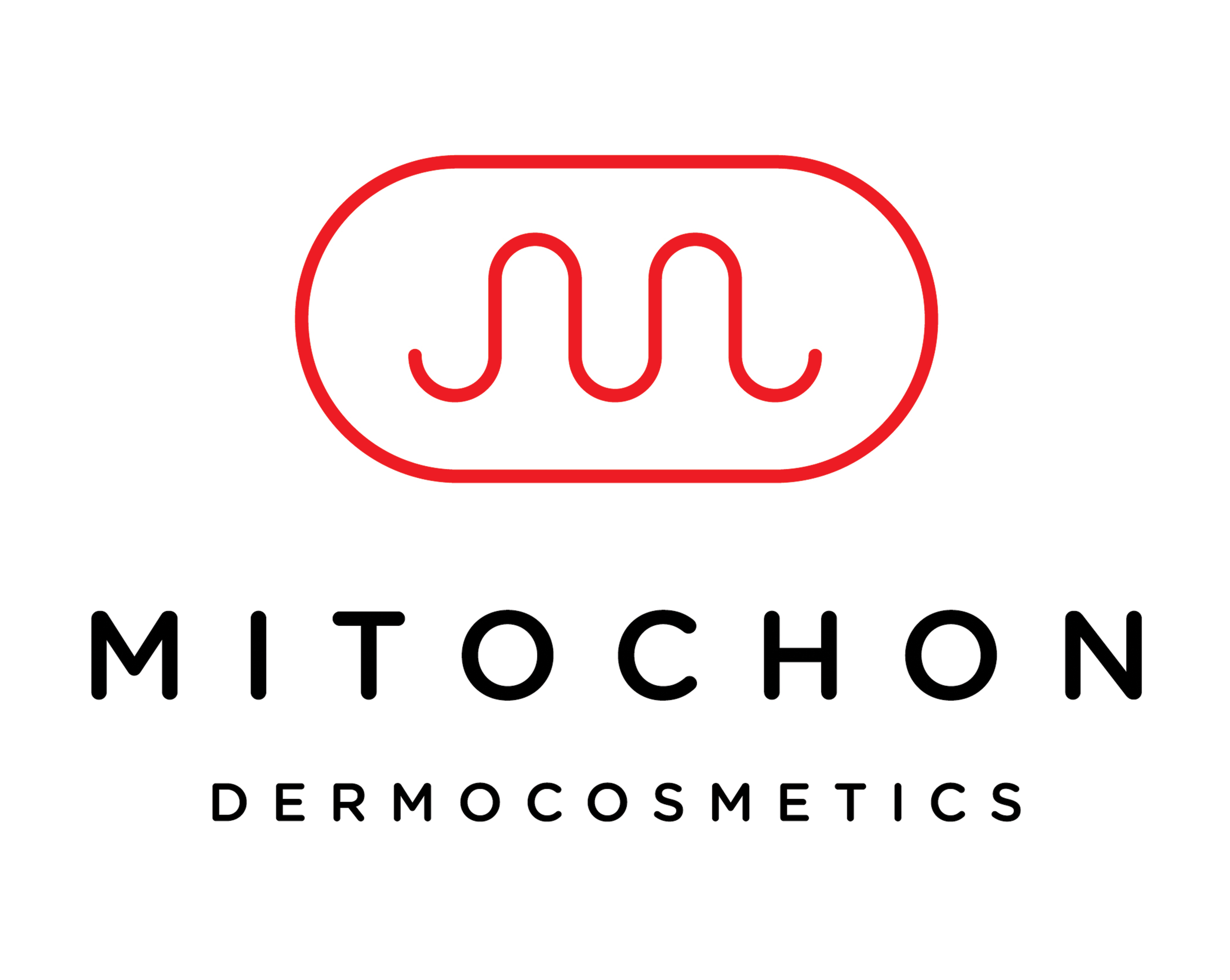 logo MITOCHON SRL